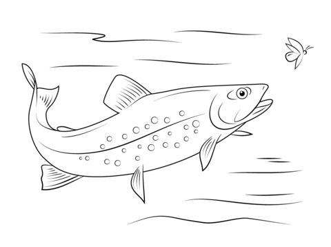 Brook Trout Coloring Page